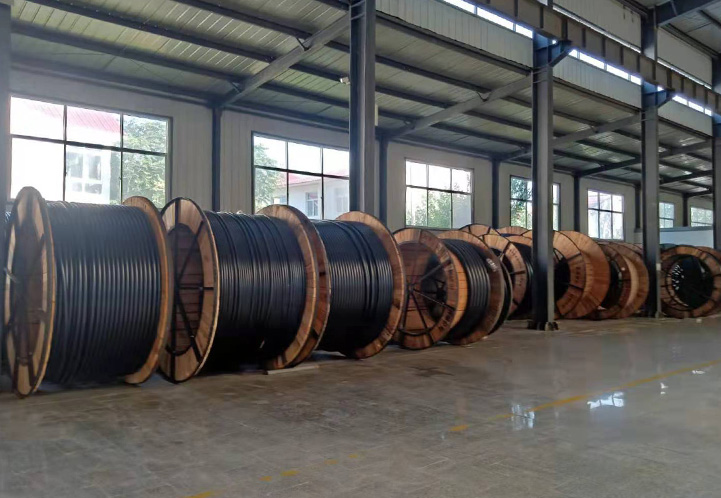 多种型号,满足定制需要 多种型号,满足定制需要